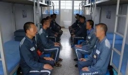 罚罪最新爆料视频,剧情反转再升级，悬念重重引观众热议