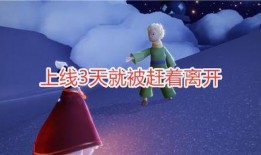 光遇交谊季最新爆料,揭秘新活动与神秘角色，共赴梦幻之旅