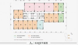 深圳湾网红最新爆料事件,揭秘事件背后惊人真相