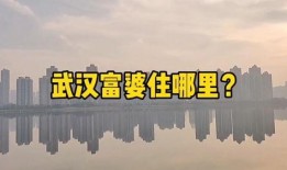 武汉楼市最新爆料,揭秘最新价格走势与热门项目盘点