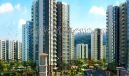 鹏城最新爆料,揭秘神秘事件背后的惊人真相！