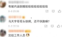 圈内人爆料杨紫最新消息,圈内人爆料，精彩内容抢先看！