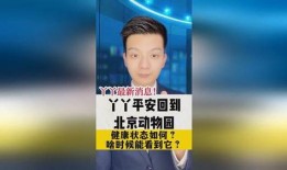 丫丫最新爆料消息,揭秘娱乐圈最新热点事件内幕