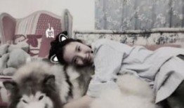 大狗最新爆料图片高清版,高清版图片揭秘神秘内容