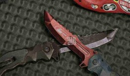 暗区突围最新爆料瞄准镜,神秘瞄准镜亮相，性能解析与实战技巧揭秘