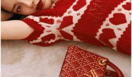 红装最新爆料,揭秘神秘红装背后的故事与魅力