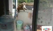 最新的瓜爆料学校宿舍,宿舍楼里的那些新鲜事儿