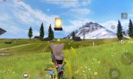 妄想山海巅峰时期王者最新爆料,揭秘妄想山海巅峰时期神秘势力崛起之谜