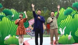 黑车最新爆料新闻事件视频,揭秘背后惊人真相