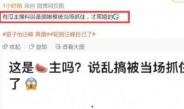 刘一飞最新直播爆料,最新动态与幕后故事大公开