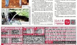 科教新闻最新爆料,揭秘未来科技前沿动态